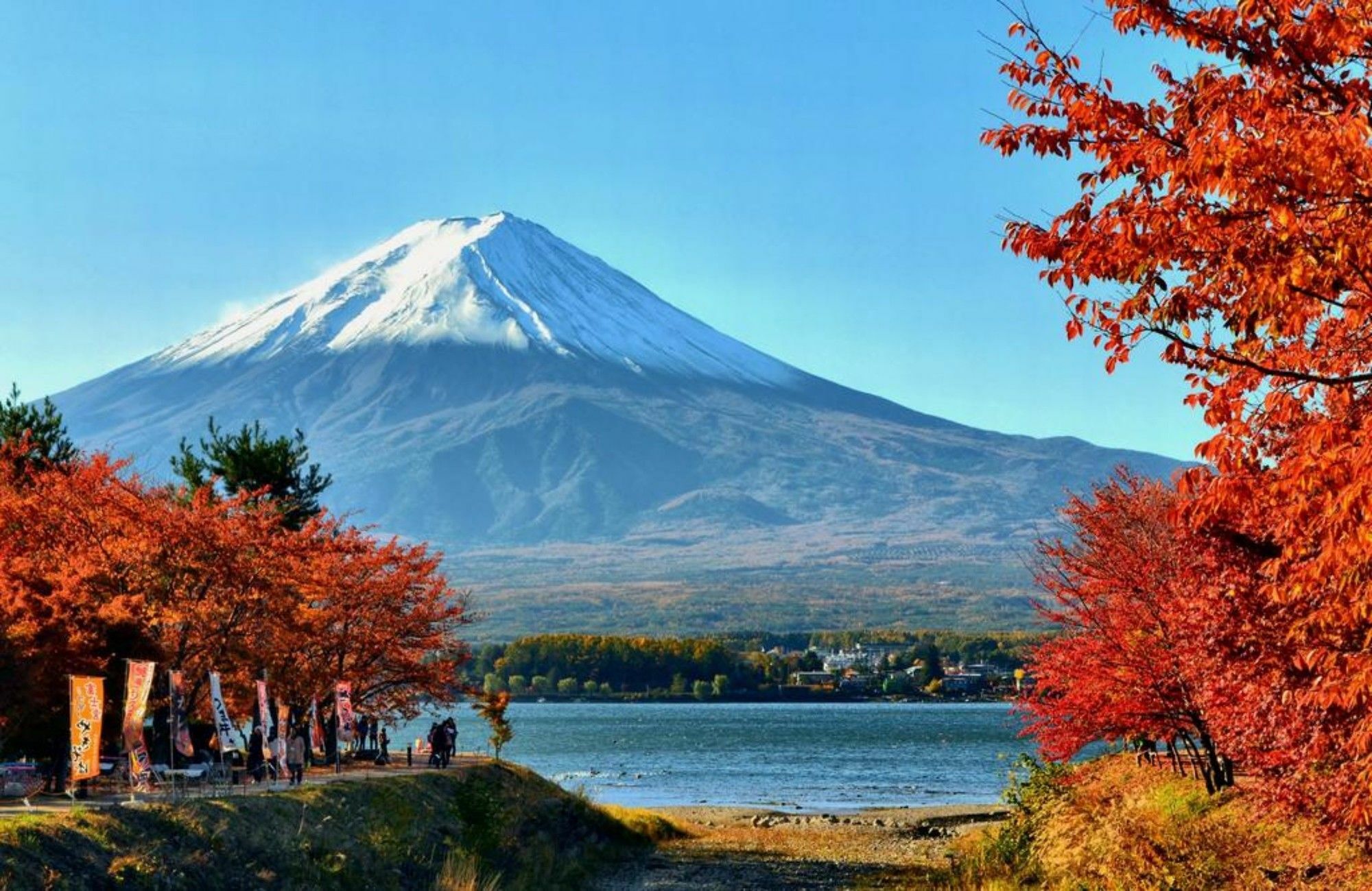 Villa Lupinus Kawaguchiko Fujikawaguchiko Buitenkant foto